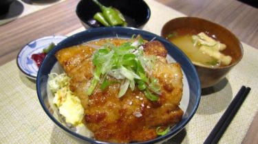 Teriyaki Pork Rice Bowl (2115)