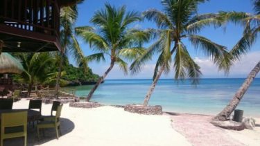 6．週末のアクティビティなど