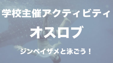世界でここだけ！フィリピン留学にきたらジンベエザメと泳ごう！