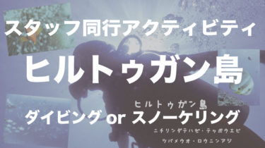 ヒルトゥガンでシュノーケリング？ダイビング？どちらも可能です！